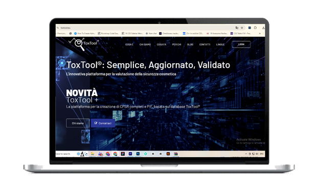 Angel Consulting Srl